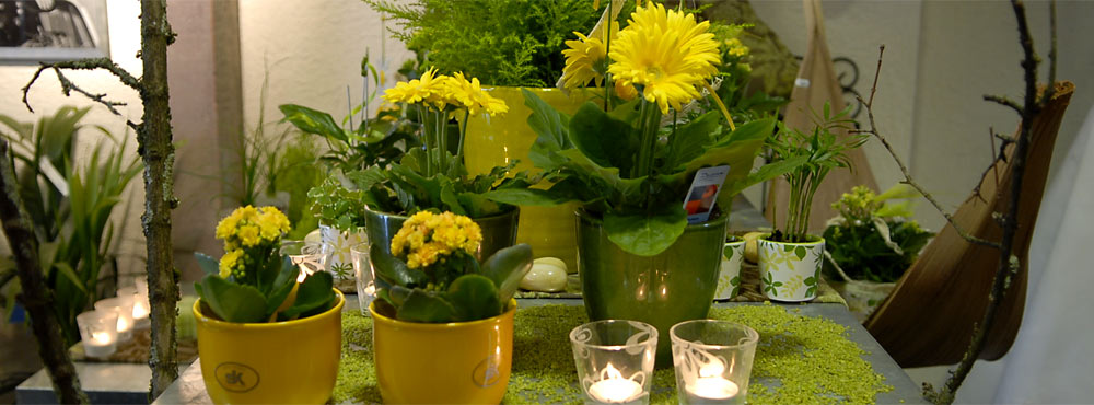 Blumen Naturelle  Elzach - Arrangements Blumenschmuck